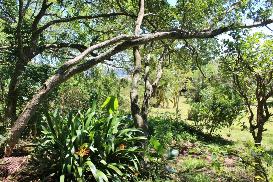 0 Bedroom Property for Sale in East Bank Eastern Cape